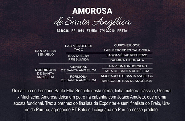 Geração AMOROSA DE SANTA ANGÉLICA