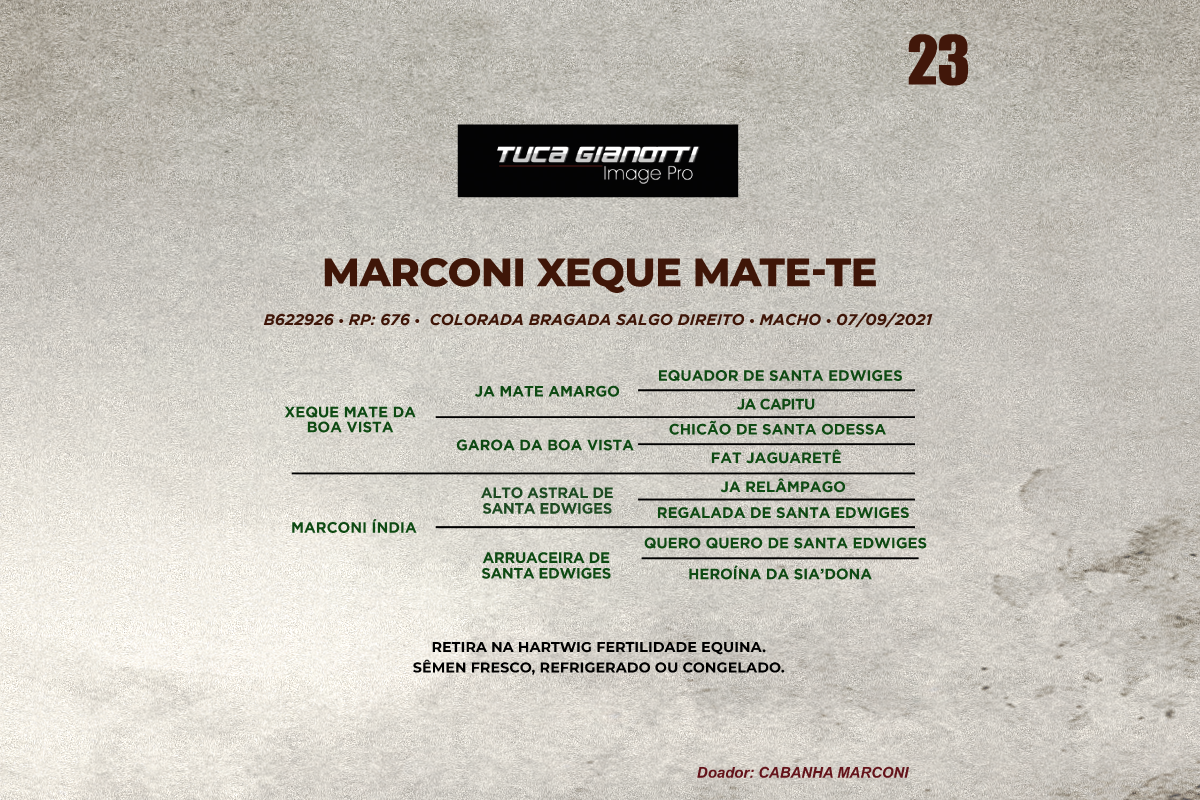 Geração MARCONI XEQUE MATE - TE 