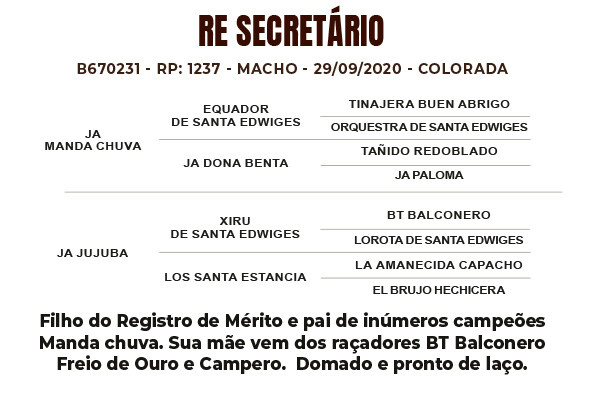 Geração RE SECRETÁRIO