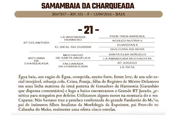 Geração SAMAMBAIA DA CHARQUEADA 