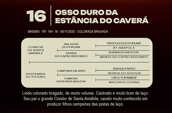 Geração OSSO DURO DA ESTANCIA CAVERA