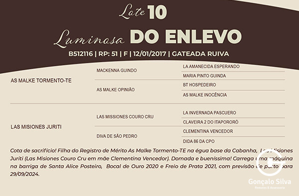 Geração LUMINOSA DO ENLEVO