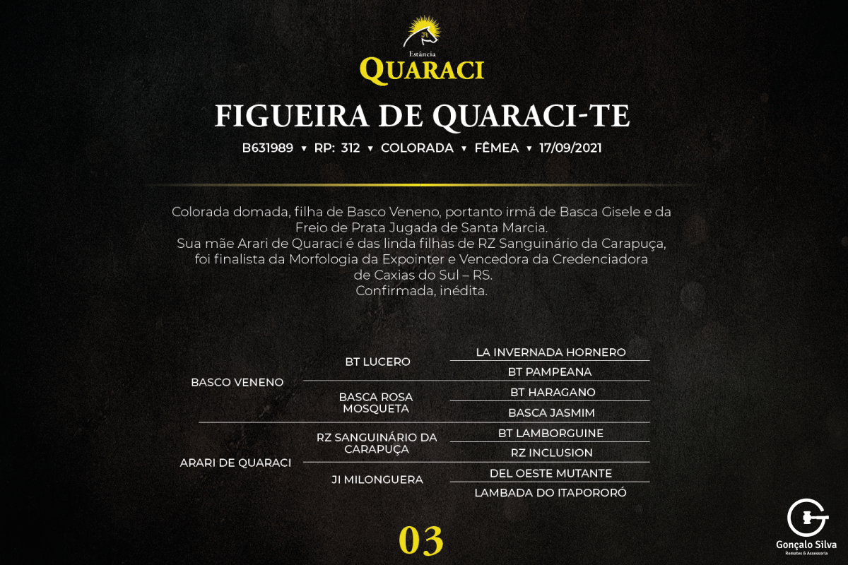 Geração FIGUEIRA DE QUARACI-TE