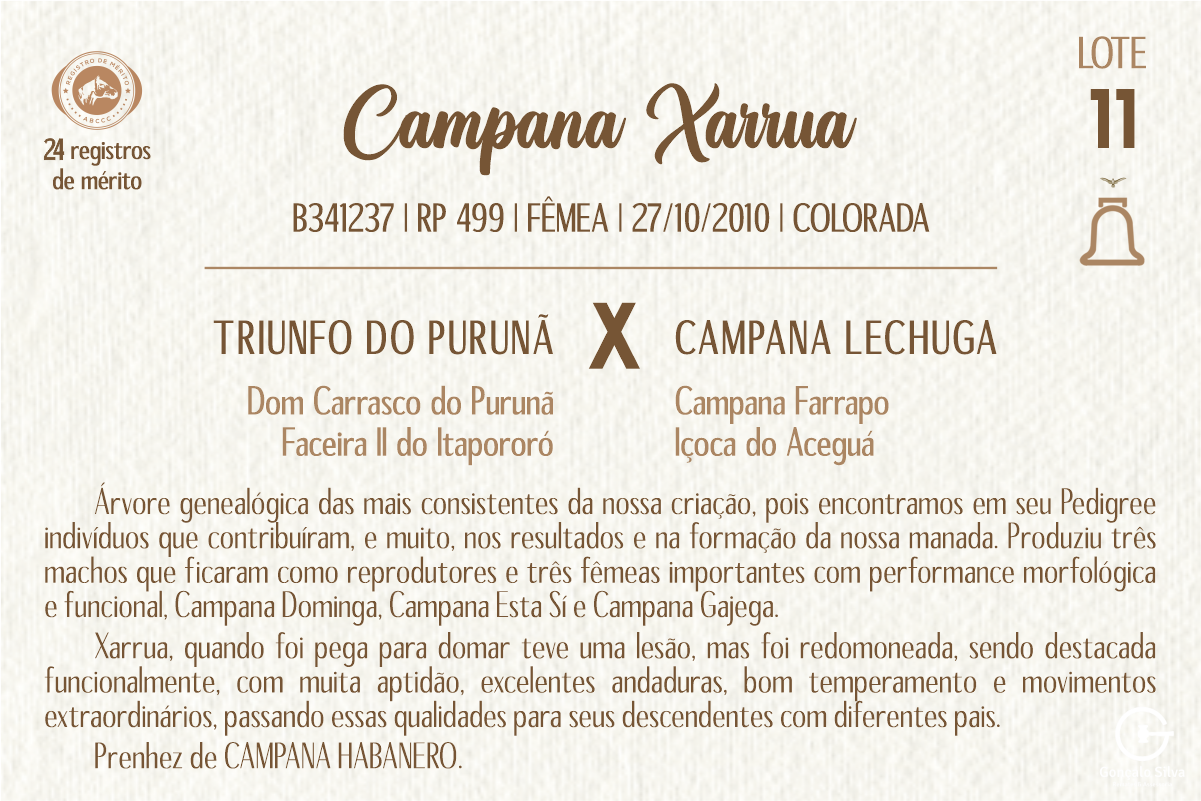 Geração CAMPANA XARRUA