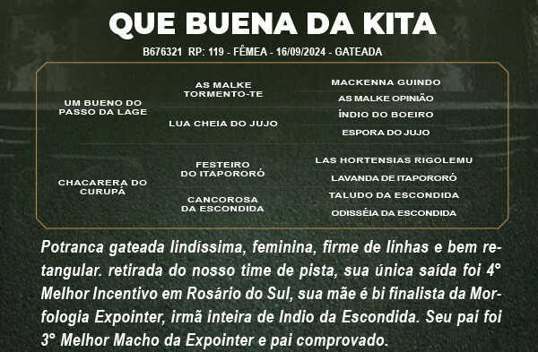 Geração QUE BUENA DA KITA 