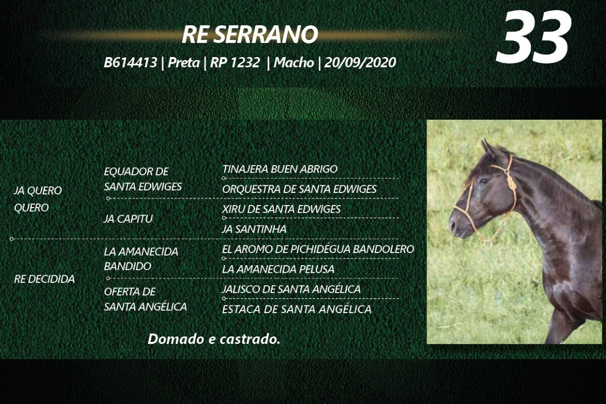 Geração RE SERRANO