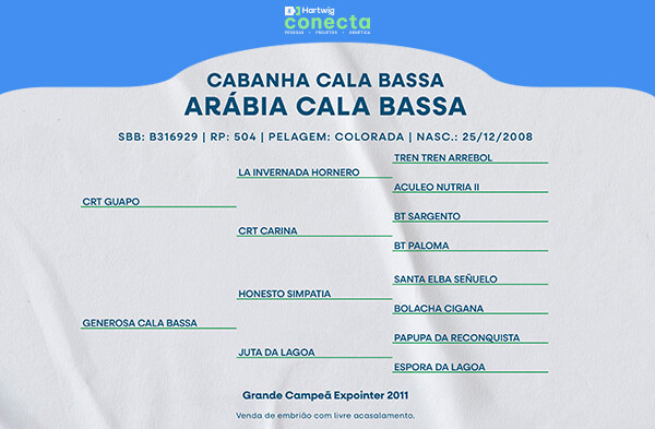 Geração ARÁBIA CALA BASSA - (ELEIÇÃO DE EMBRIÃO)