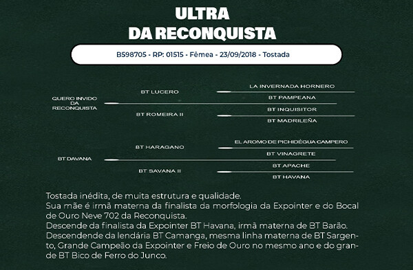 Geração ULTRA DA RECONQUISTA
