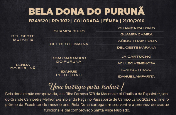 Geração BELA DONA DO PURUNÃ ( BARRIGA )