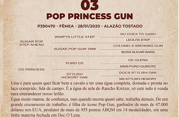 Geração POP PRINCESS GUN