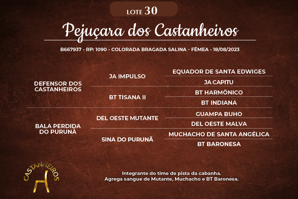 Geração PEJUÇARA DOS CASTANHEIROS