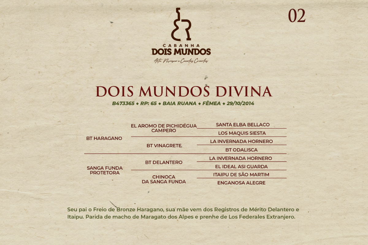 Geração DOIS MUNDOS DIVINA