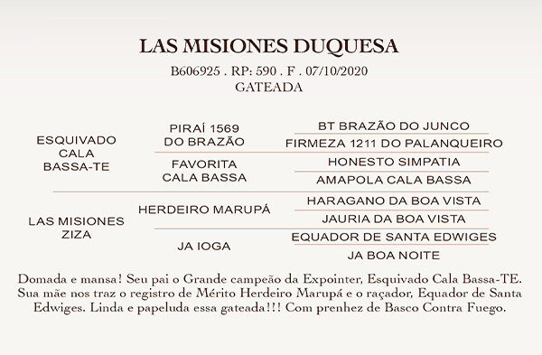 Geração LAS MISIONES DUQUESA