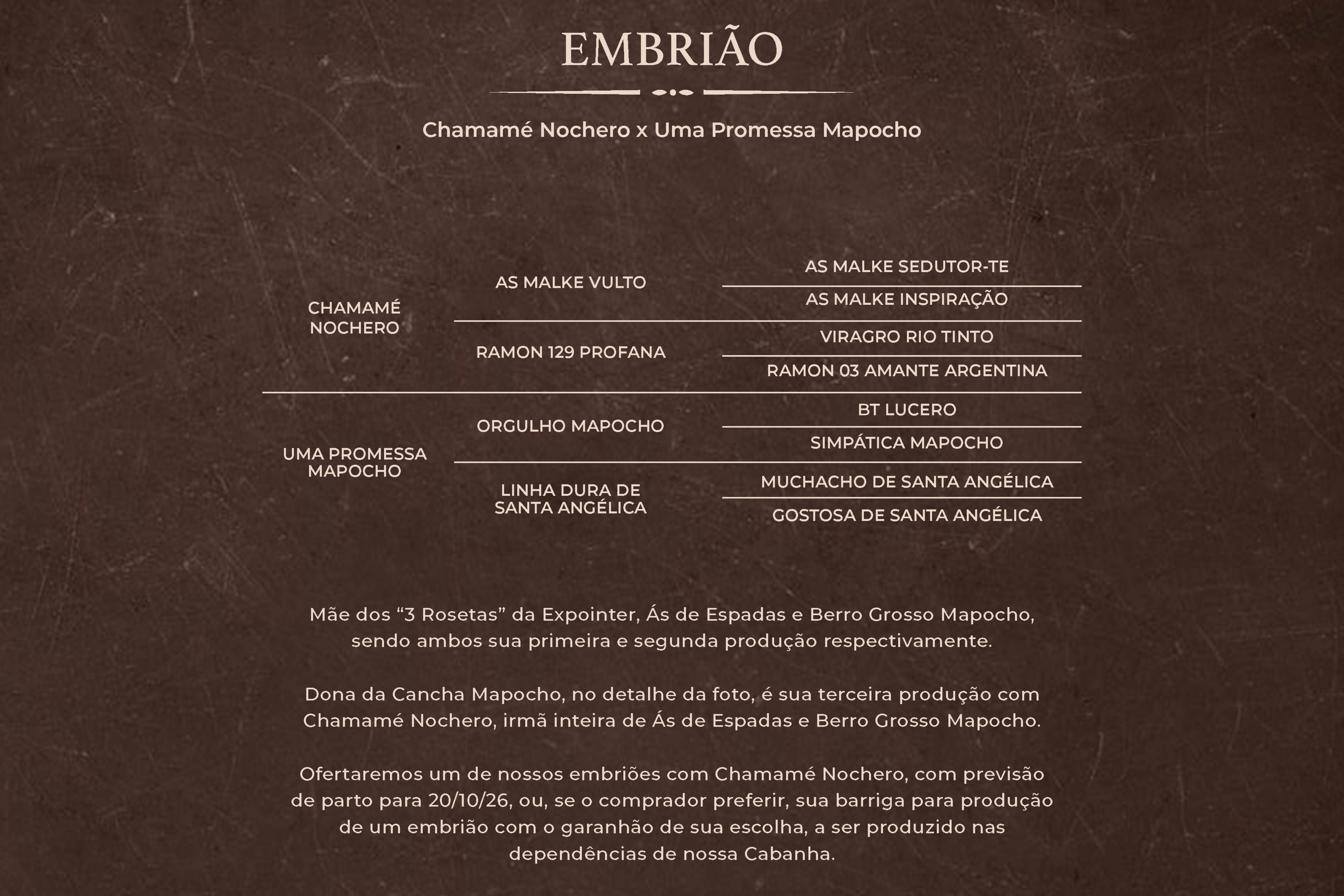Geração UMA PROMESSA MAPOCHO - Embrião