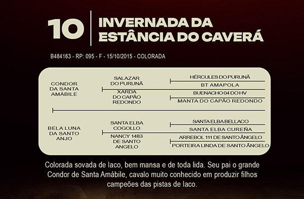 Geração INVERNADA DA ESTANCIA DO CAVERA