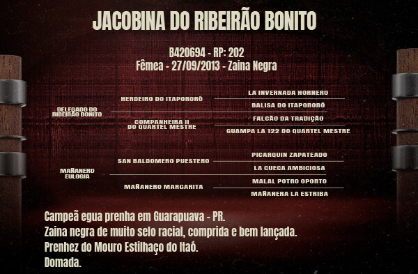Geração JACOBINA DO RIBEIRÃO BONITO