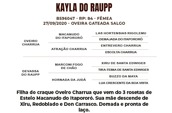 Geração KAYLA DO RAUPP