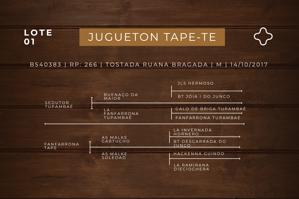 Geração JUGUETON TAPE - TE 