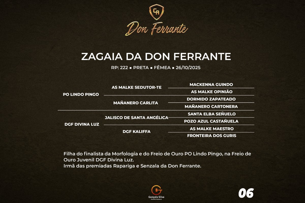 Geração ZAGAIA DA DON FERRANTE 