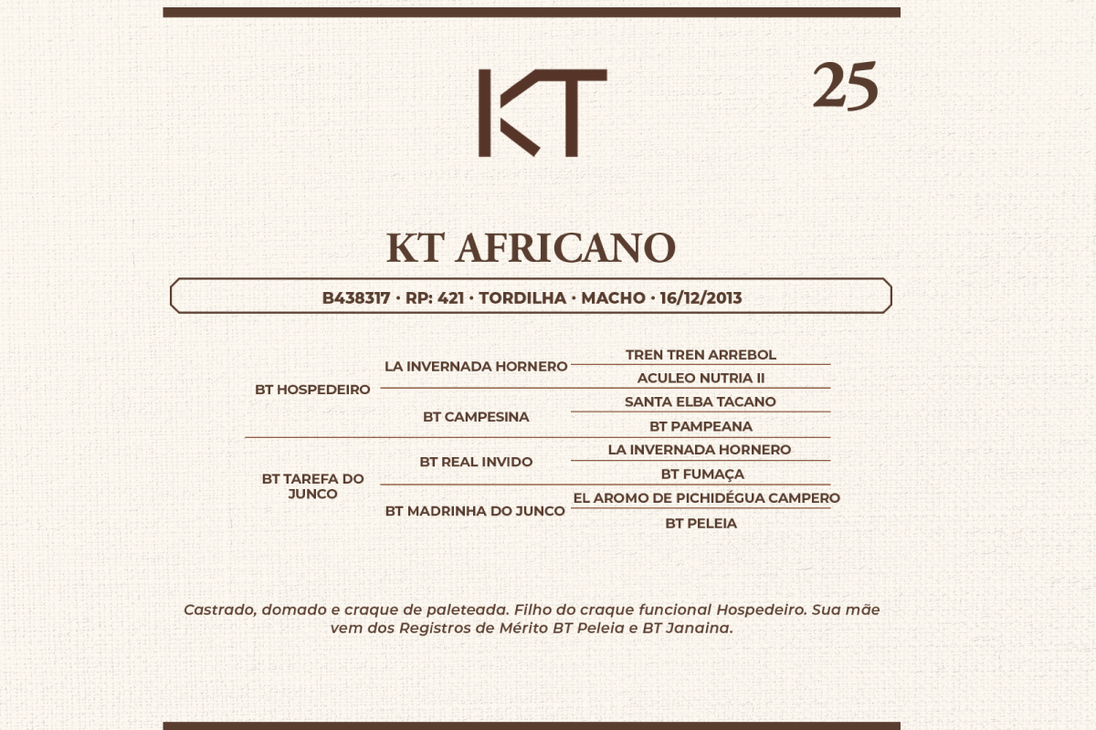 Geração KT AFRICANO