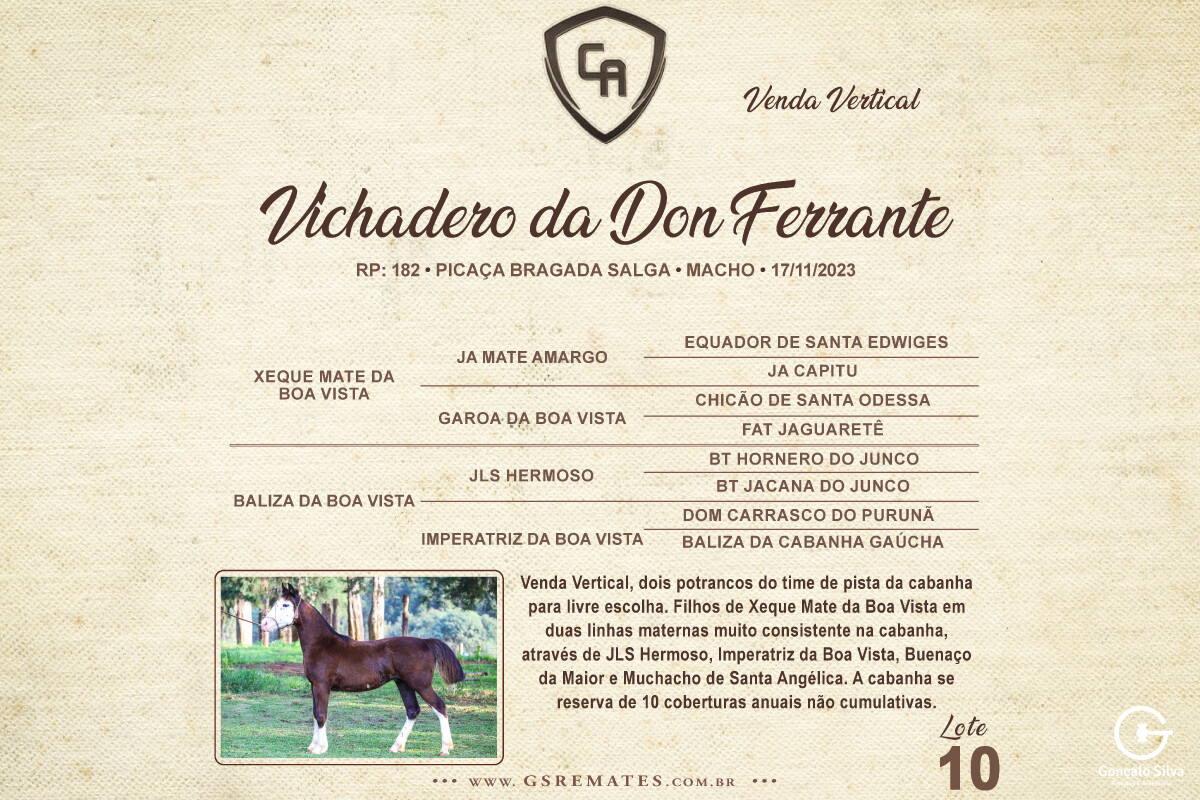 Geração VICHADERO DA DON FERRANTE (VERTICAL)