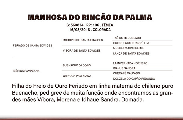 Geração MANHOSA DO RINÇÃO DA PALMA