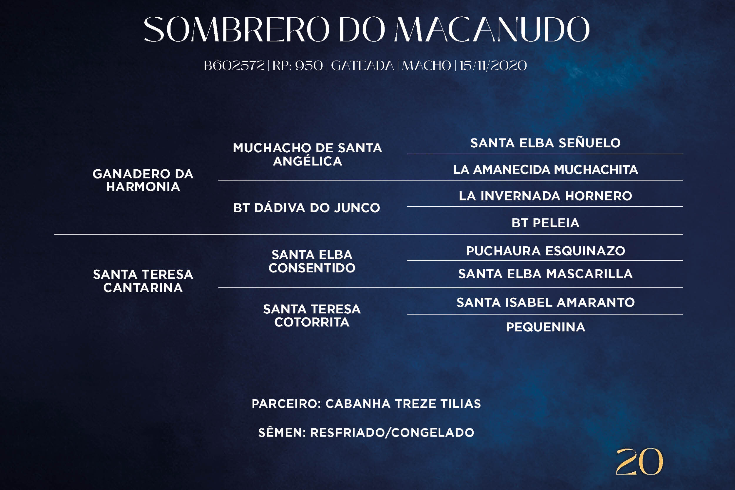 Geração SOMBRERO DO MACANUDO