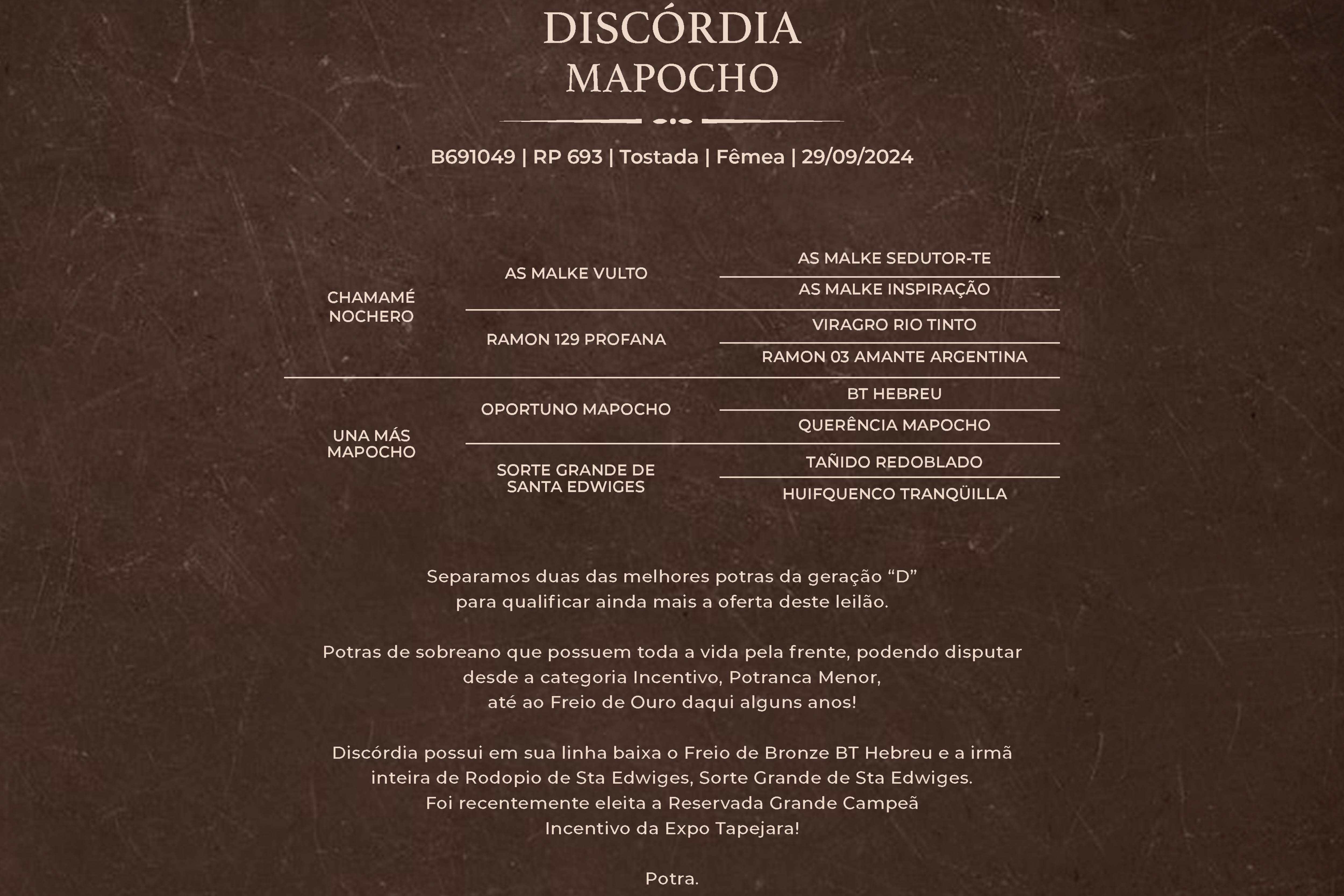 Geração DISCÓRDIA MAPOCHO