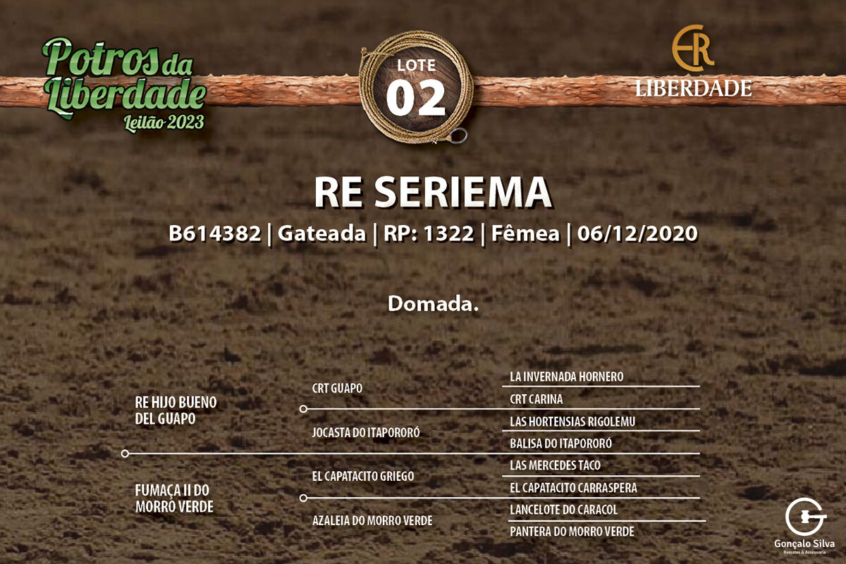 Geração RE SERIEMA