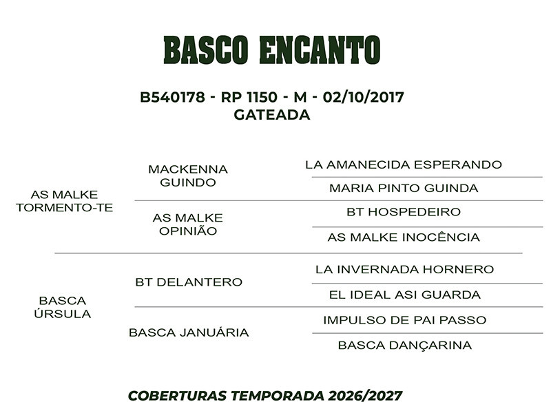 Geração COBERTURA BASCO ENCANTO 