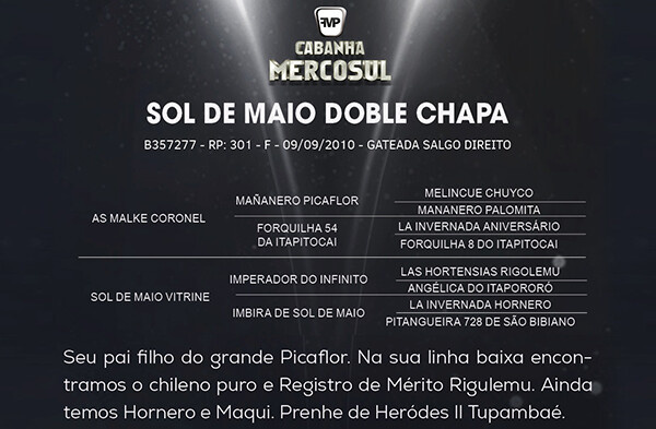 Geração SOL DE MAIO DOBLE CHAPA 
