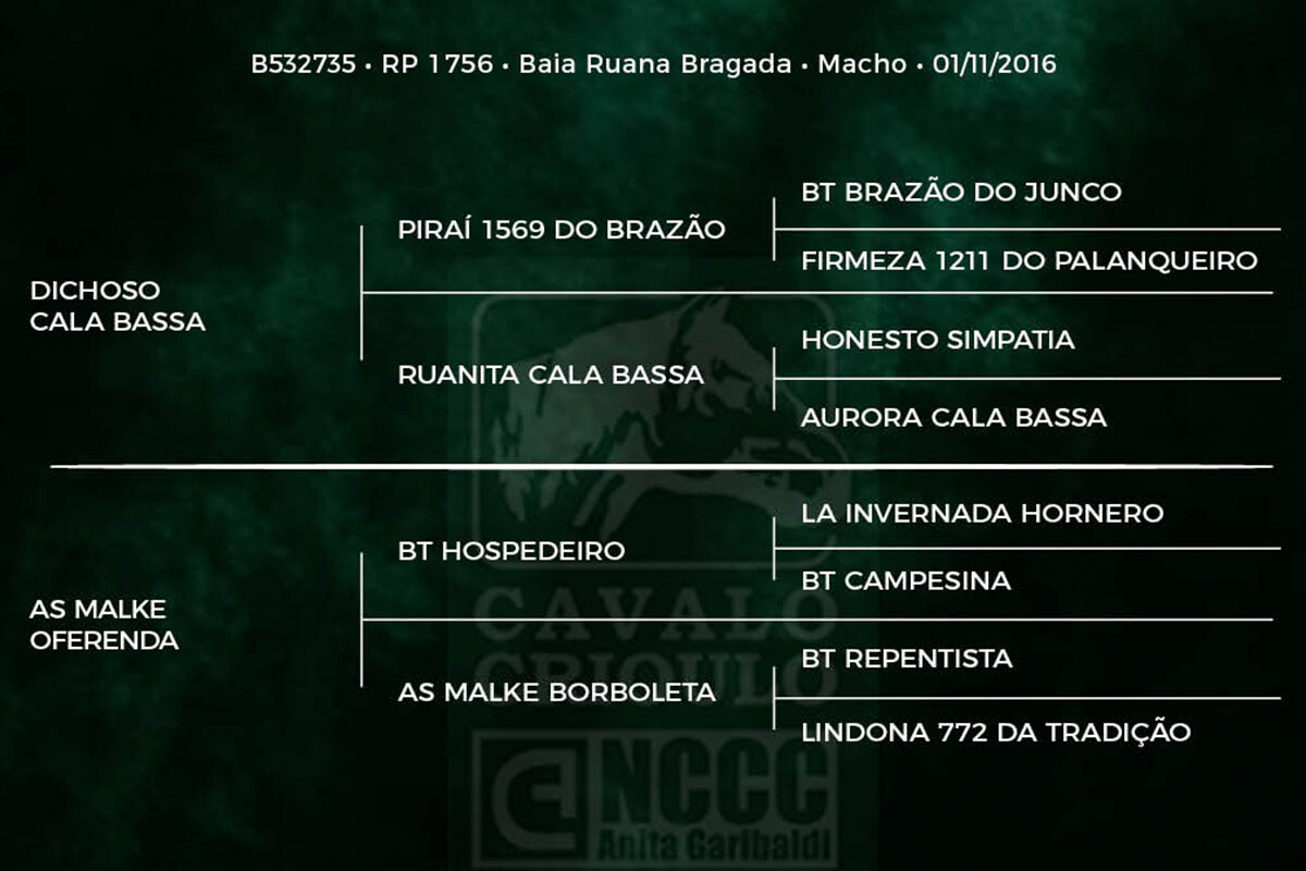Geração RZ MAGANO DA CARAPUÇA