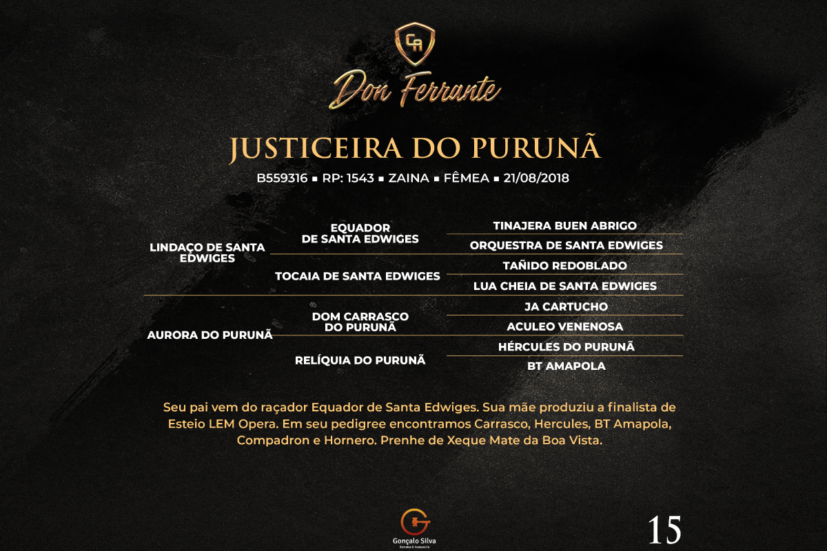 Geração JUSTICEIRA DO PURUNÃ