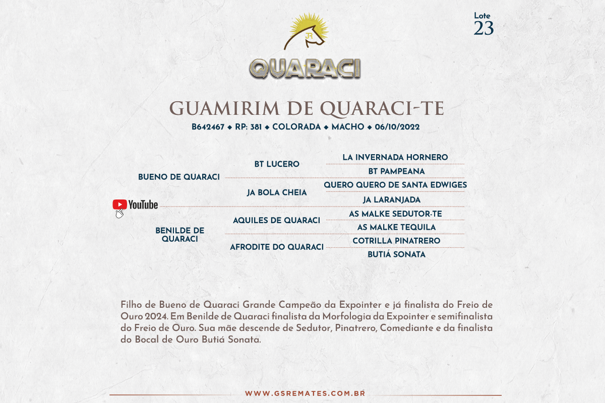Geração GUAMIRIM DE QUARACI-TE