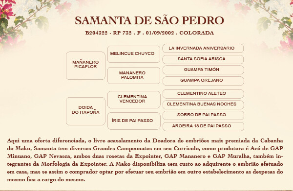 Geração EMBRIÃO SAMANTA DE SÃO PEDRO