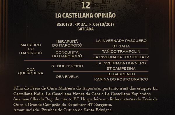 Geração LA CASTELLANA OPINIÃO