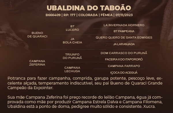 Geração UBALDINA DO TABOÃO 