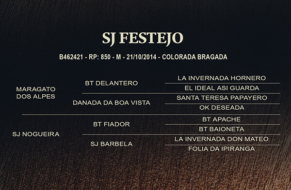 Geração SJ FESTEJO
