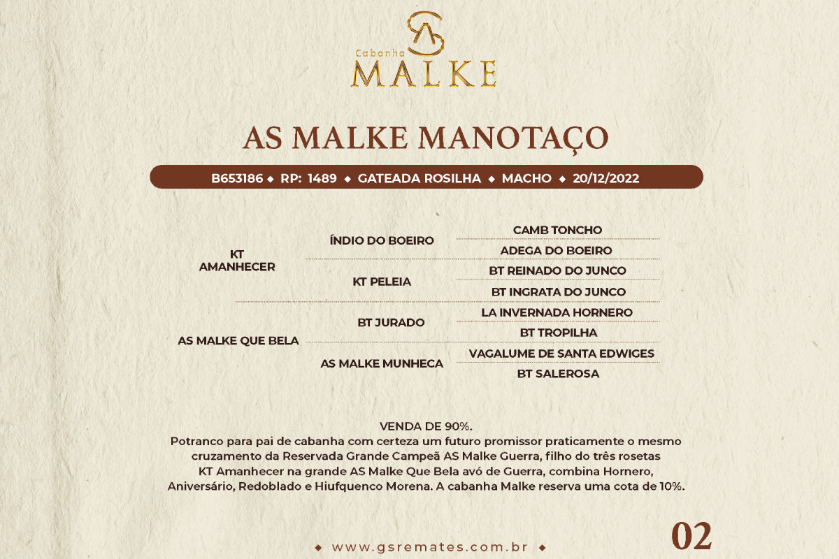 Geração AS MALKE MANOTAÇO (VENDA DE 90%)