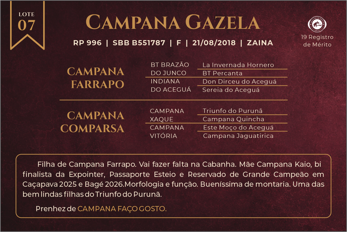 Geração CAMPANA GAZELA