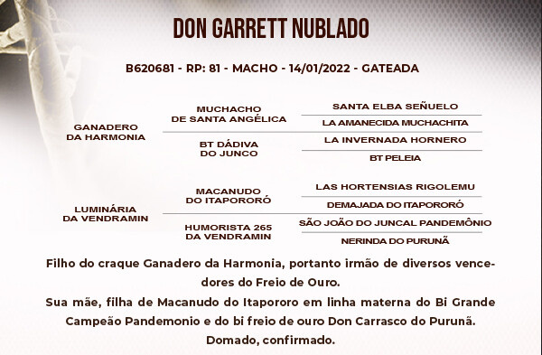 Geração DON GARRETT NUBLADO
