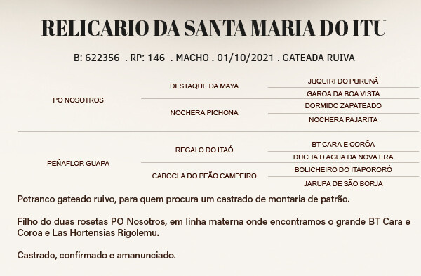 Geração RELICÁRIO DA SANTA MARIA DO ITU