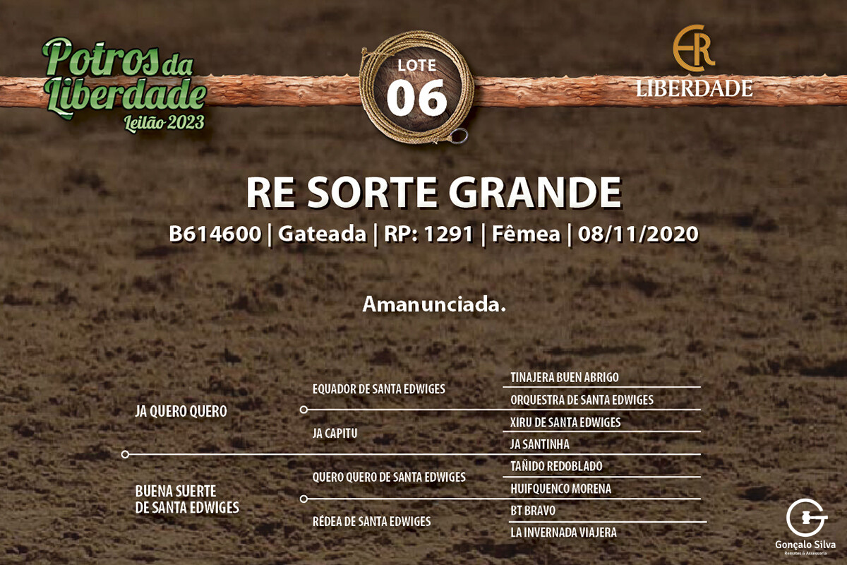 Geração RE SORTE GRANDE