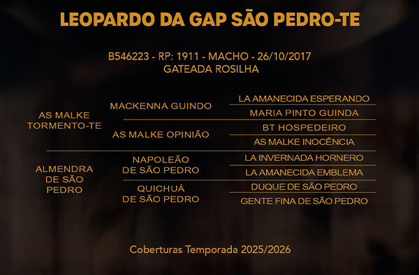 Geração LEOPARDO DA GAP SÃO PEDRO - TE