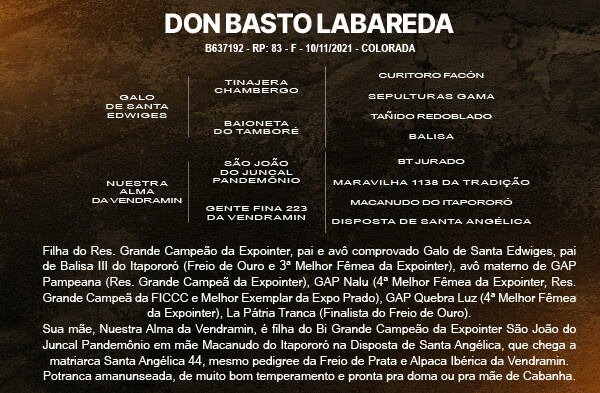 Geração DON BASTO LABAREDA