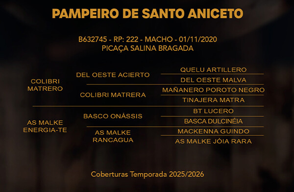 Geração PAMPEIRO DE SANTO ANICETO