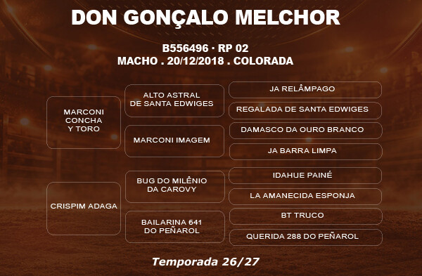 Geração DON GONÇALO MELCHOR 