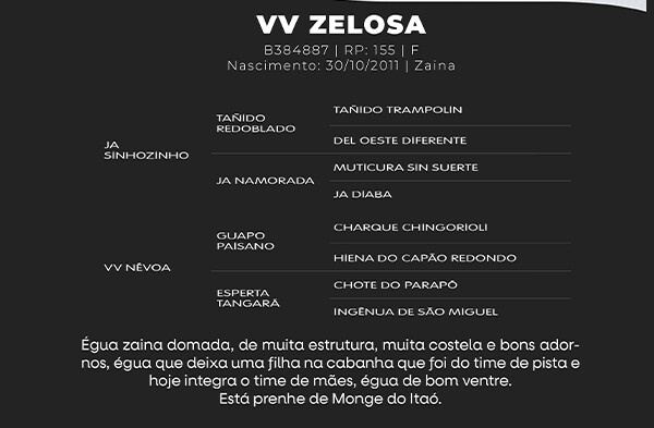 Geração VV ZELOSA