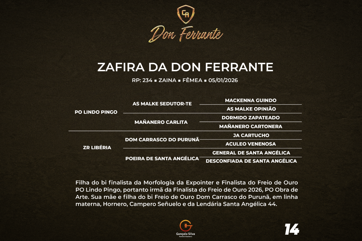 Geração ZAFIRA DA DON FERRANTE 