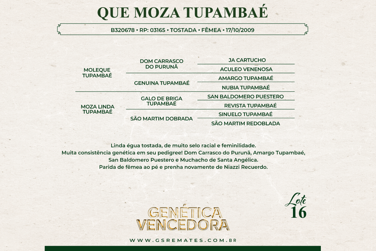 Geração QUE MOZA TUPAMBAÉ